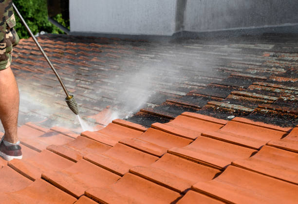 Best Pressure Washing Services for Businesses  in Lemont, PA
