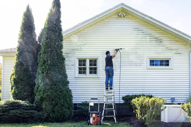 Best Local Pressure Washing Services  in Lemont, PA